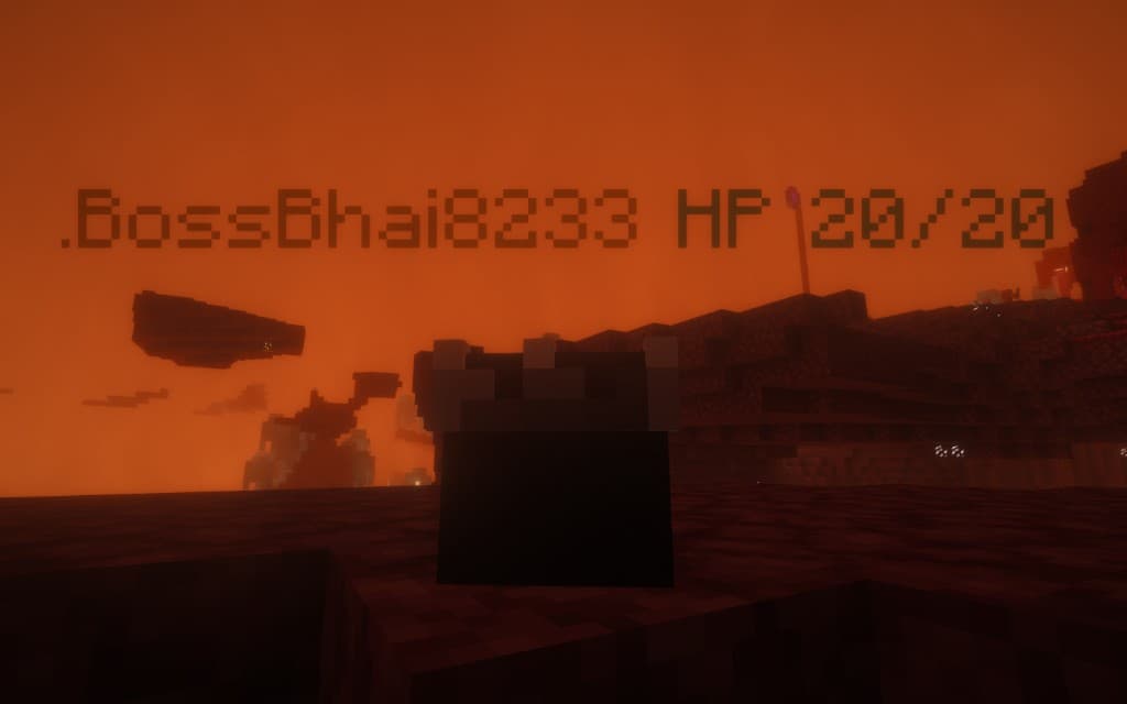A logged-off player head left in the Nether with the player's name and HP shown above it