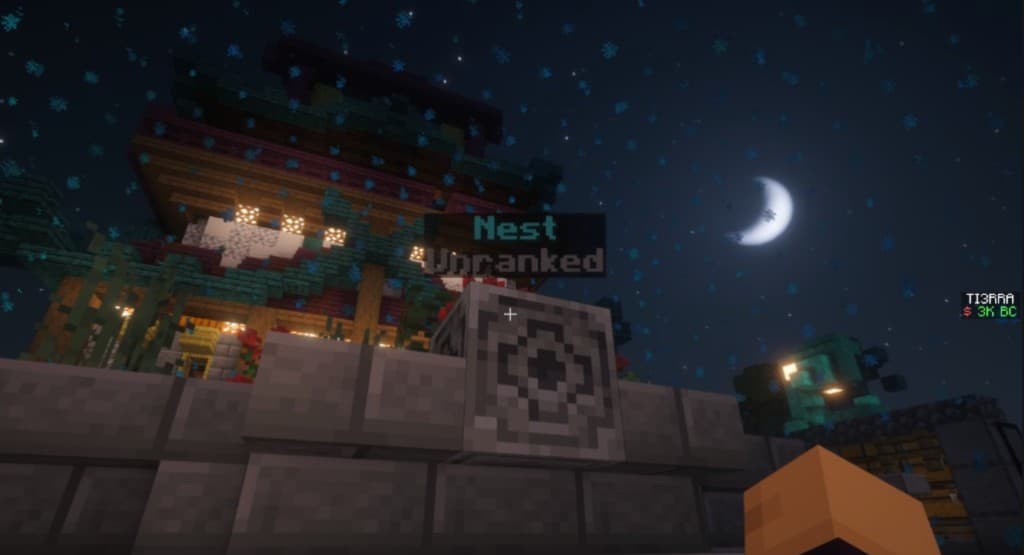 Fresh nest — Unranked label above the block before scanning